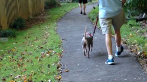 d1ec77aa67a8a51e7a104fd87fb201a1