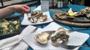 IMG_20170523_133317319_HDR